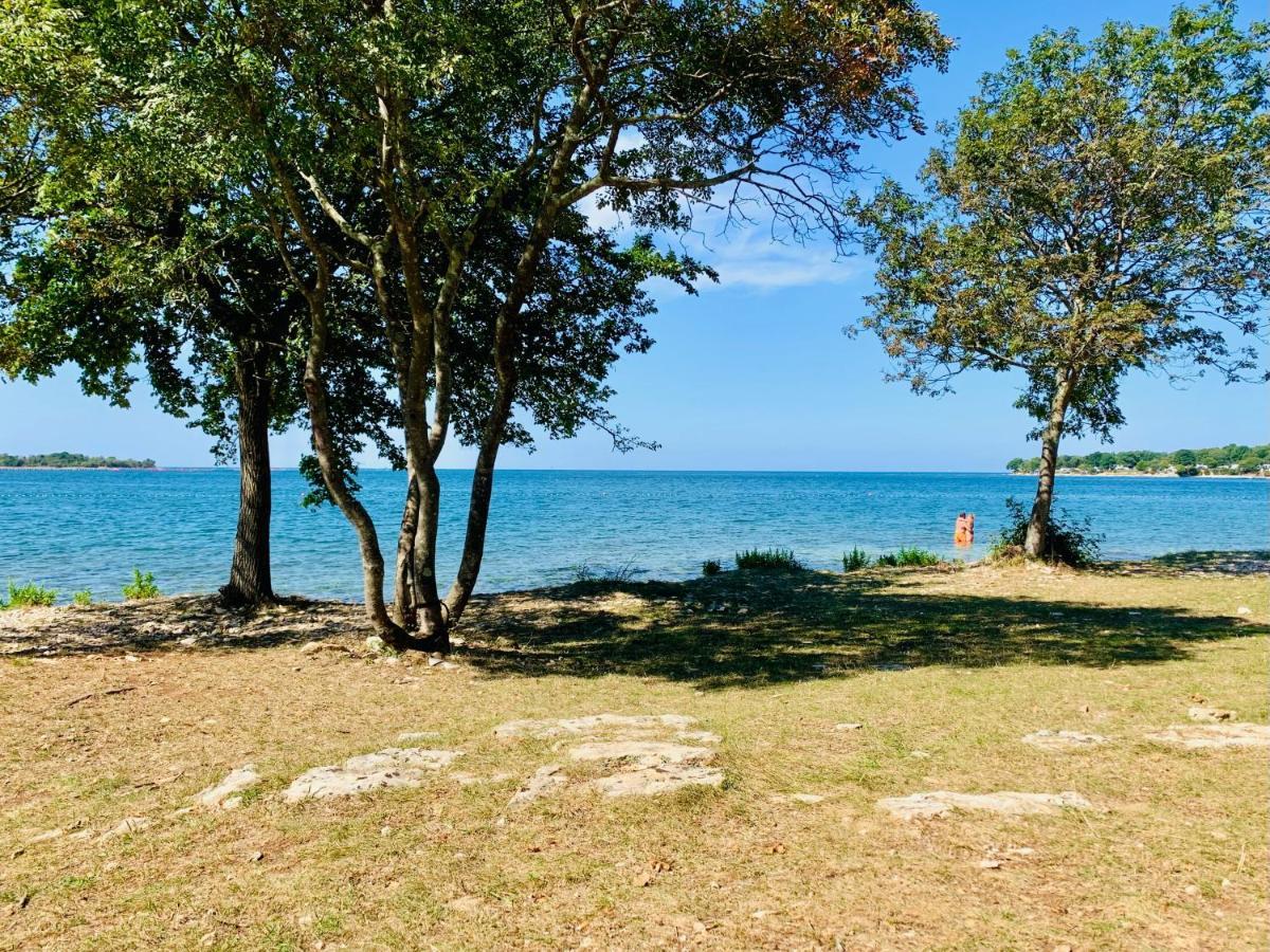 Villa Zen - With Pool & Close To The Sea Tar-Vabriga Bagian luar foto